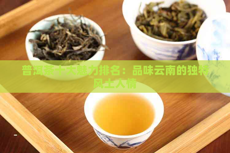 普洱茶十大魅力排名：品味云南的独特风土人情