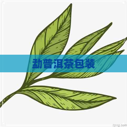 勐普洱茶包装