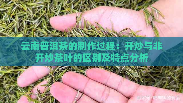 云南普洱茶的制作过程：开炒与非开炒茶叶的区别及特点分析