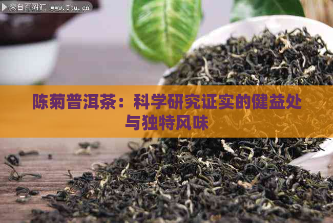 陈菊普洱茶：科学研究证实的健益处与独特风味