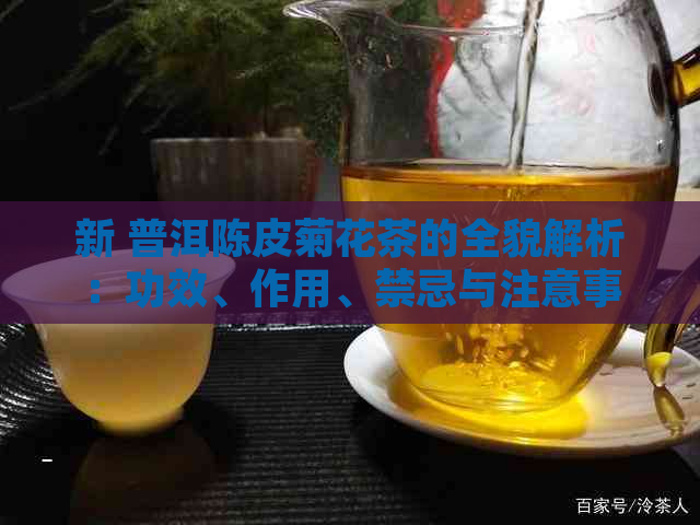 新 普洱陈皮菊花茶的全貌解析：功效、作用、禁忌与注意事项