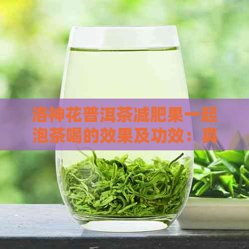 洛神花普洱茶减肥果一起泡茶喝的效果及功效：真的可以减肥吗？