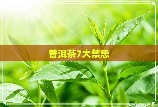 普洱茶7大禁忌