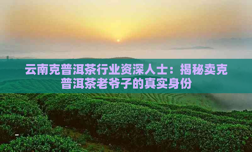 云南克普洱茶行业资深人士：揭秘卖克普洱茶老爷子的真实身份