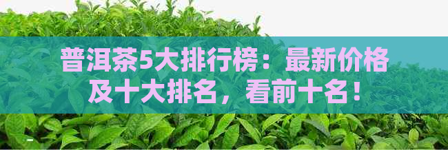 普洱茶5大排行榜：最新价格及十大排名，看前十名！