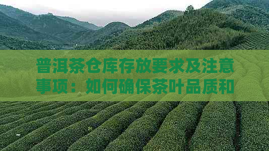 普洱茶仓库存放要求及注意事项：如何确保茶叶品质和保存效果？