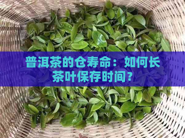 普洱茶的仓寿命：如何长茶叶保存时间？