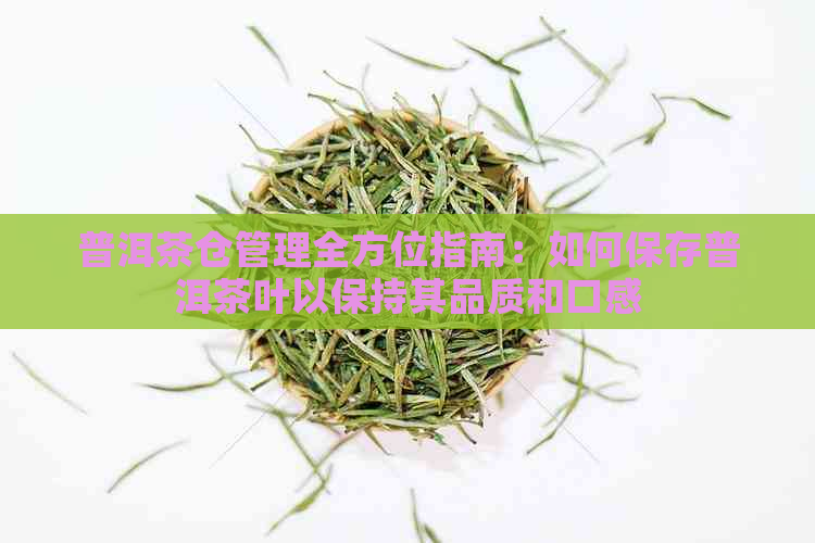 普洱茶仓管理全方位指南：如何保存普洱茶叶以保持其品质和口感