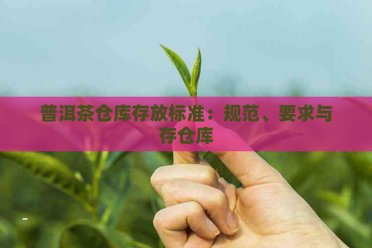 普洱茶仓库存放标准：规范、要求与存仓库