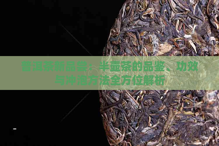 普洱茶新品尝：半壶茶的品鉴、功效与冲泡方法全方位解析