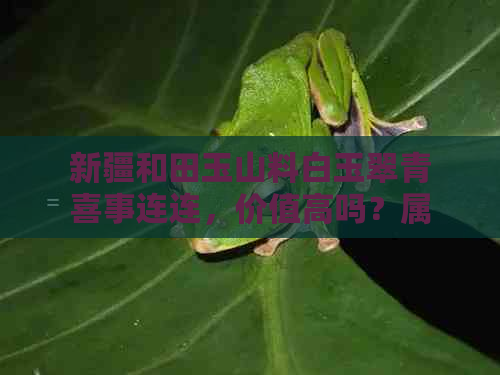 新疆和田玉山料白玉翠青喜事连连，价值高吗？属于什么等级？有羊脂吗？