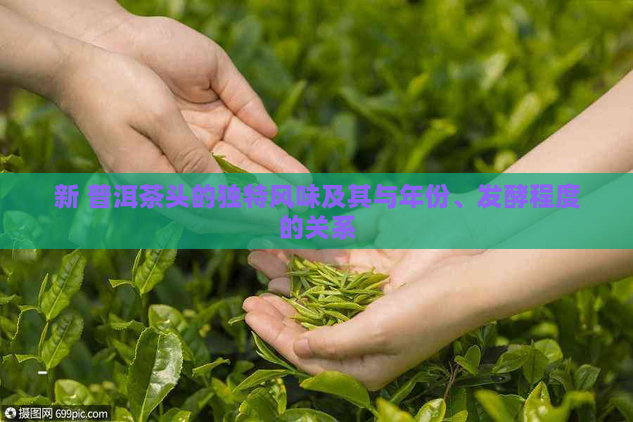 新 普洱茶头的独特风味及其与年份、发酵程度的关系