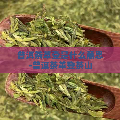 普洱茶革登是什么意思-普洱茶革登茶山