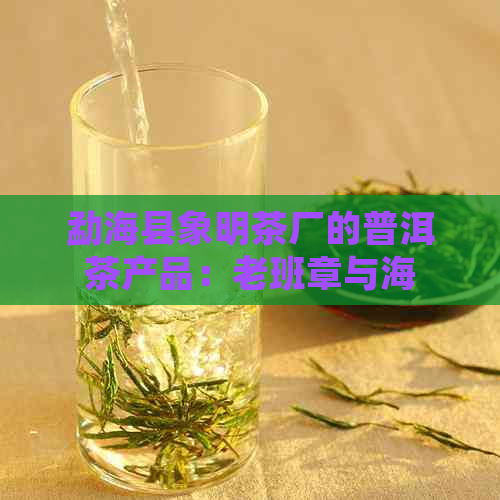 勐海县象明茶厂的普洱茶产品：老班章与海象经典茶品解析