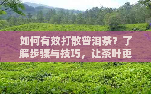 如何有效打散普洱茶？了解步骤与技巧，让茶叶更加均匀释放香味！