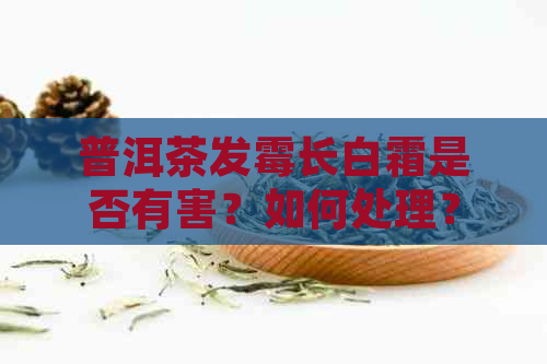 普洱茶发霉长白霜是否有害？如何处理？喝了会有什么后果？