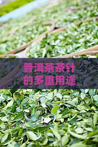 普洱茶茶针的多重用途及其在泡茶过程中的重要作用