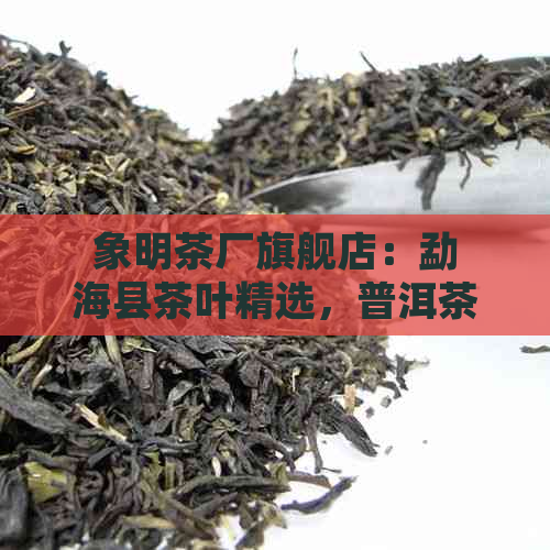 象明茶厂旗舰店：勐海县茶叶精选，普洱茶口感醇厚的品质之选