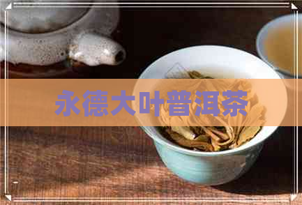 永德大叶普洱茶