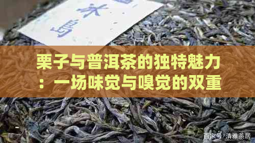 栗子与普洱茶的独特魅力：一场味觉与嗅觉的双重宴