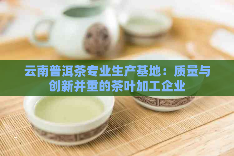 云南普洱茶专业生产基地：质量与创新并重的茶叶加工企业