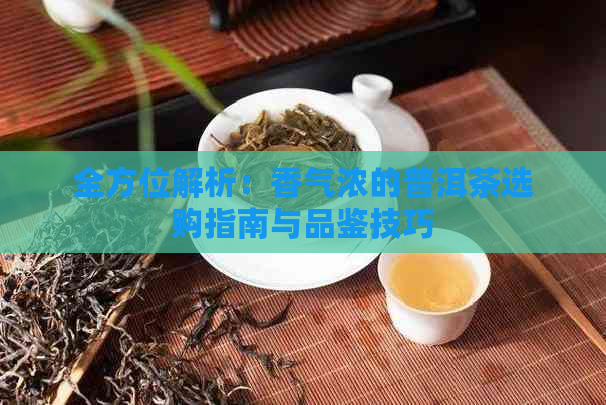 全方位解析：香气浓的普洱茶选购指南与品鉴技巧