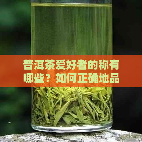 普洱茶爱好者的称有哪些？如何正确地品尝和存普洱茶？