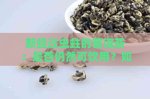 新经过虫蛀的普洱茶：是否仍然可饮用？如何判断其品质与健风险？