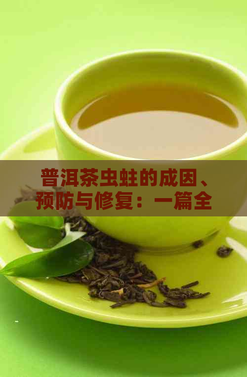 普洱茶虫蛀的成因、预防与修复：一篇全面的指南