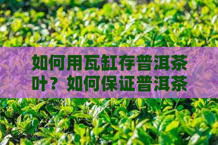 如何用瓦缸存普洱茶叶？如何保证普洱茶水的存质量？