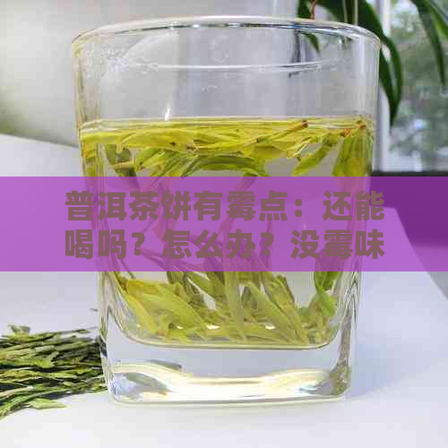 普洱茶饼有霉点：还能喝吗？怎么办？没霉味也能喝吗？正常吗？