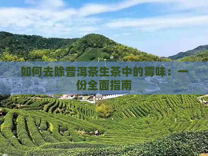 如何去除普洱茶生茶中的霉味：一份全面指南