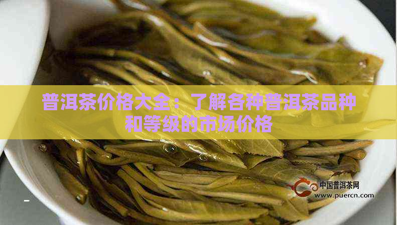 普洱茶价格大全：了解各种普洱茶品种和等级的市场价格