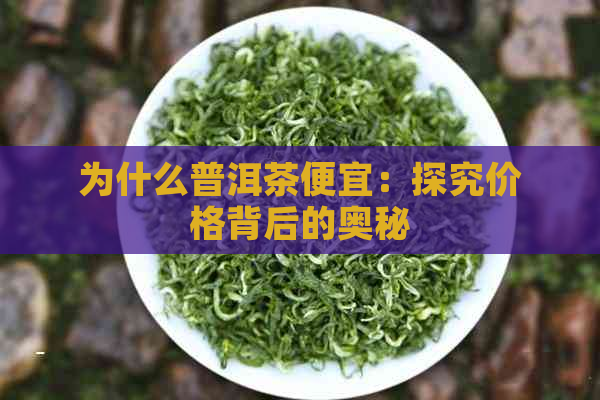 为什么普洱茶便宜：探究价格背后的奥秘