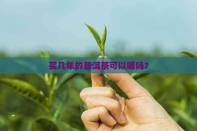 买几年的普洱茶可以喝吗？