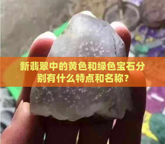 新翡翠中的黄色和绿色宝石分别有什么特点和名称？