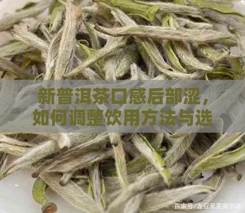 新普洱茶口感后部涩，如何调整饮用方法与选茶技巧？