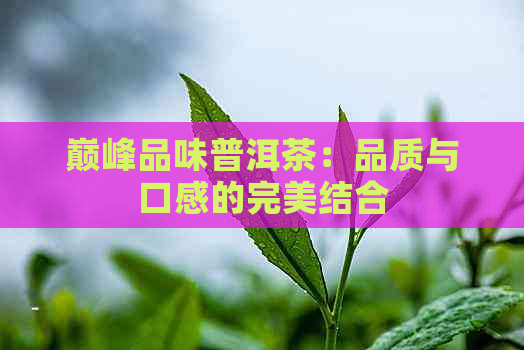 巅峰品味普洱茶：品质与口感的完美结合