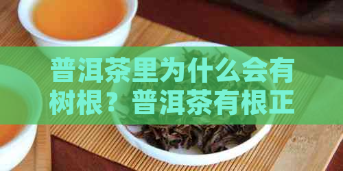 普洱茶里为什么会有树根？普洱茶有根正常吗？普洱茶根是什么样子的？