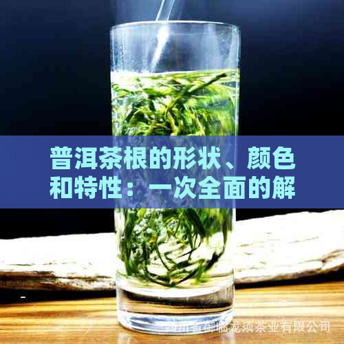 普洱茶根的形状、颜色和特性：一次全面的解析