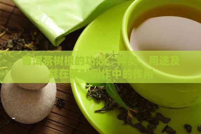 普洱茶树根的功效、种类、用途及其在茶叶制作中的作用