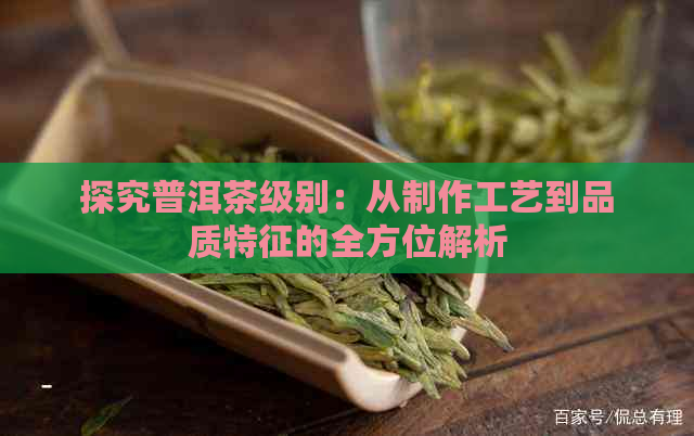 探究普洱茶级别：从制作工艺到品质特征的全方位解析