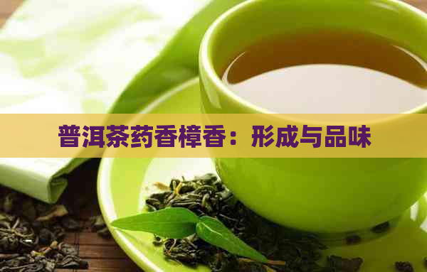 普洱茶药香樟香：形成与品味