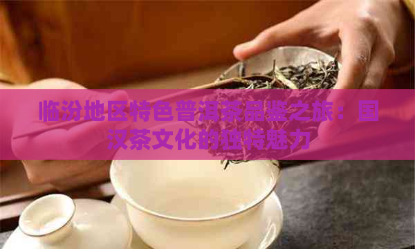 临汾地区特色普洱茶品鉴之旅：国汉茶文化的独特魅力