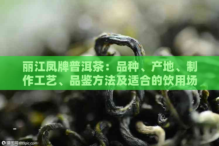 丽江凤牌普洱茶：品种、产地、制作工艺、品鉴方法及适合的饮用场景全面解析