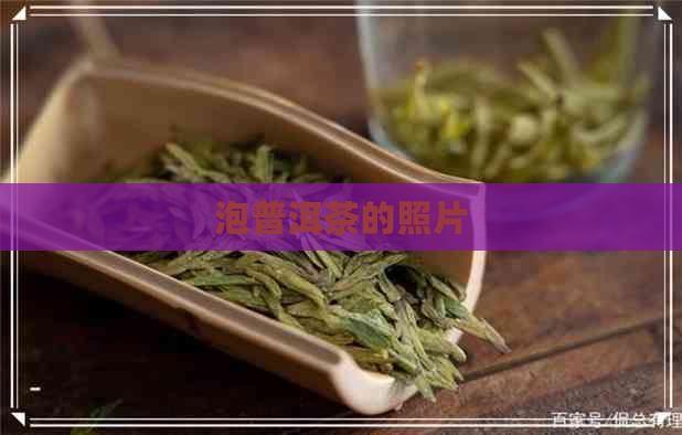 泡普洱茶的照片