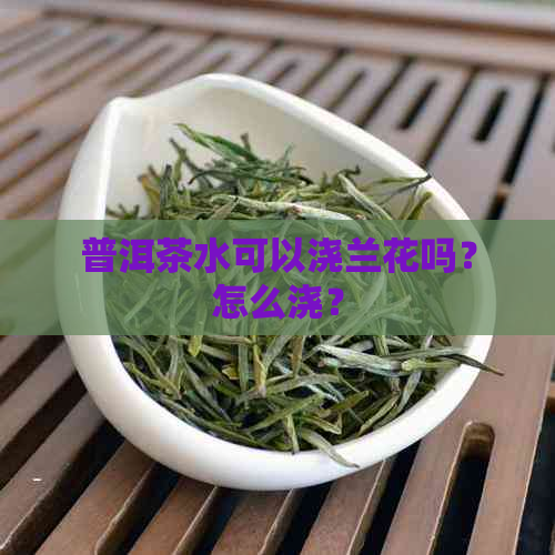 普洱茶水可以浇兰花吗？怎么浇？