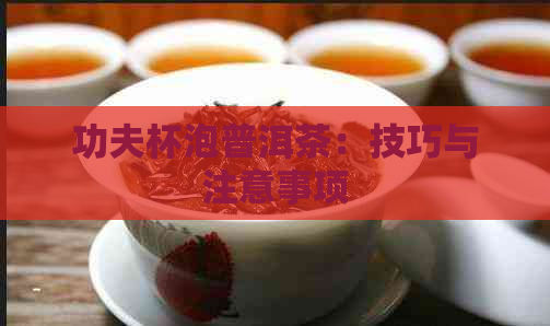 功夫杯泡普洱茶：技巧与注意事项