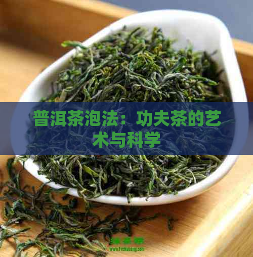 普洱茶泡法：功夫茶的艺术与科学