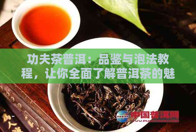 功夫茶普洱：品鉴与泡法教程，让你全面了解普洱茶的魅力与技巧